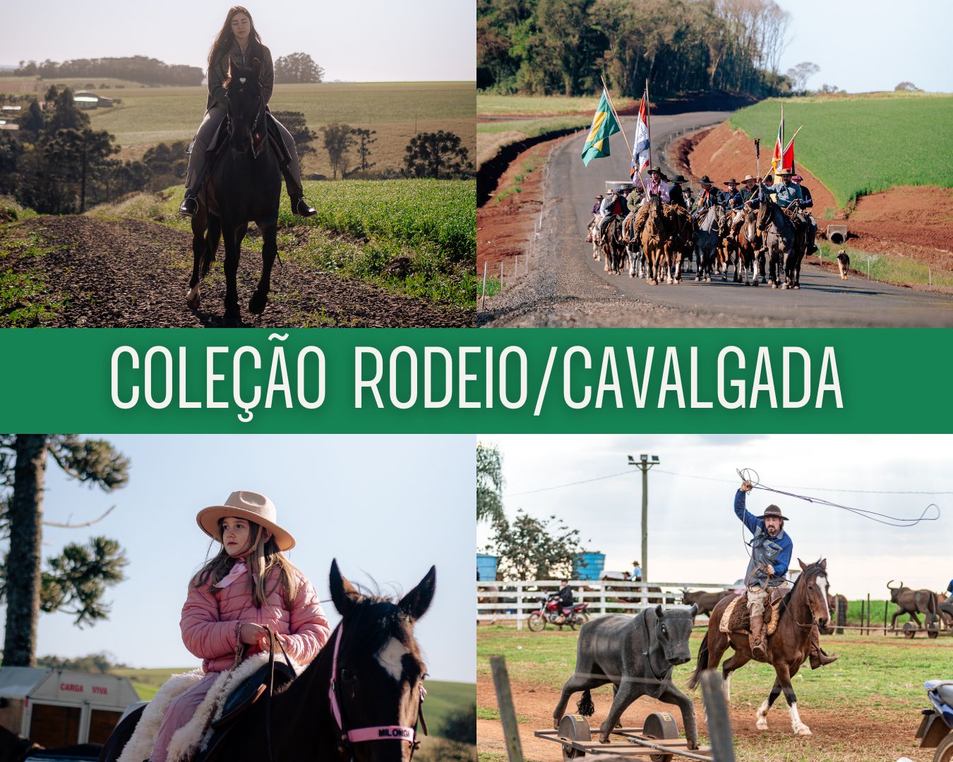 Capa Rodeio / Cavalgada — coleção com cenas de cavalgada, rodeio e laço